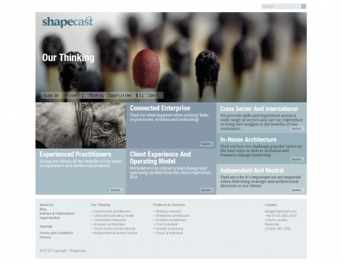 Website Design for Shapecast